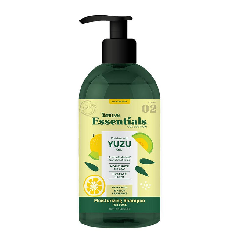 Essentials Yuzu Oil Shampoo