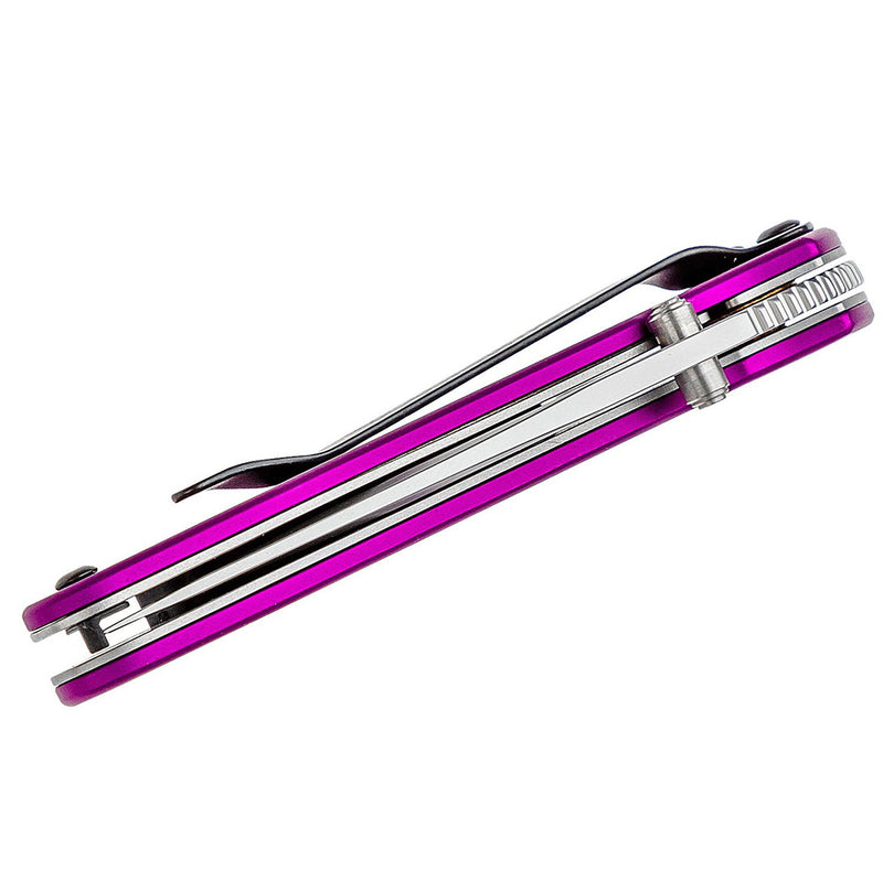 Kershaw Knives SCALLION PURPLE 1620PUR