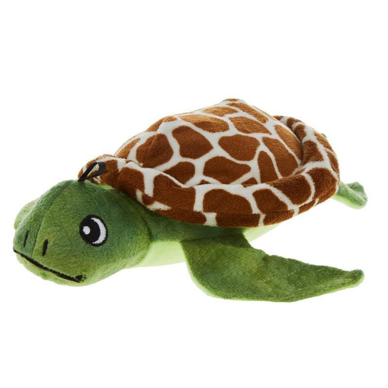 Shelldon the Turtle