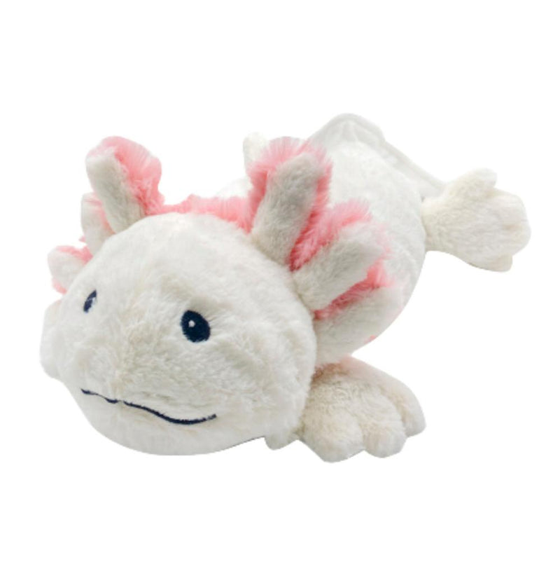 Axolotl