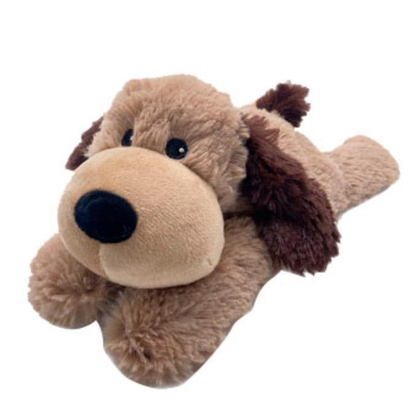 Junior Brown Dog