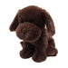 Chocolate Lab
