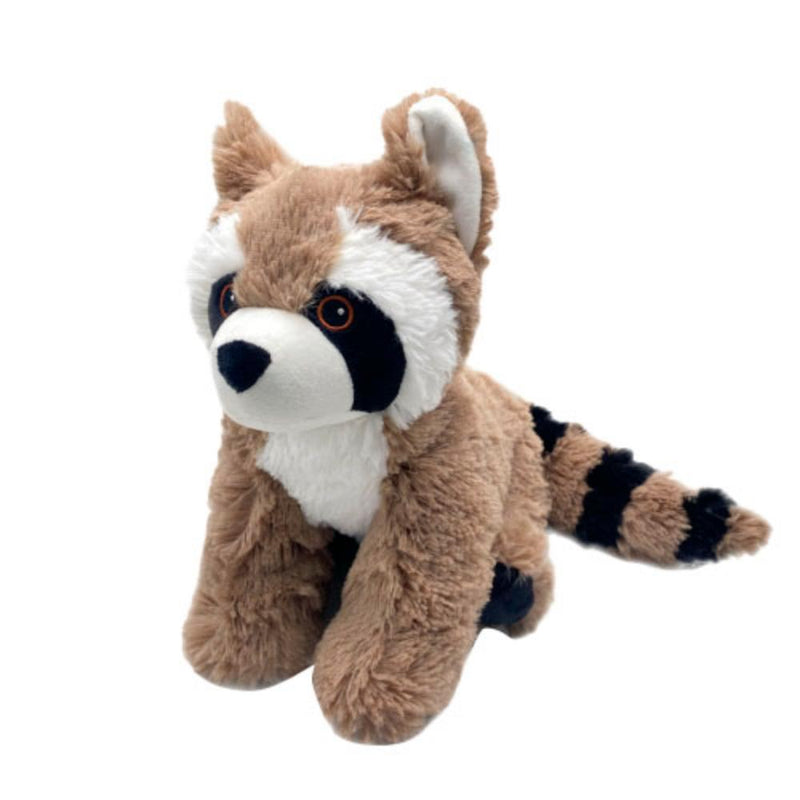 Raccoon