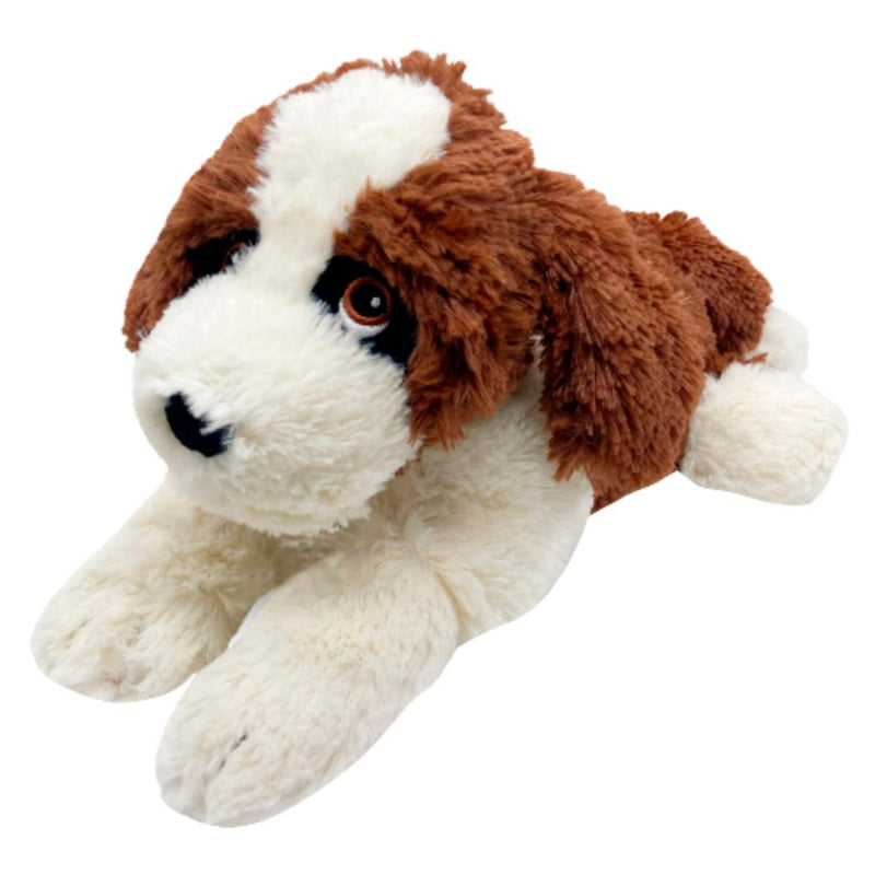St. Bernard