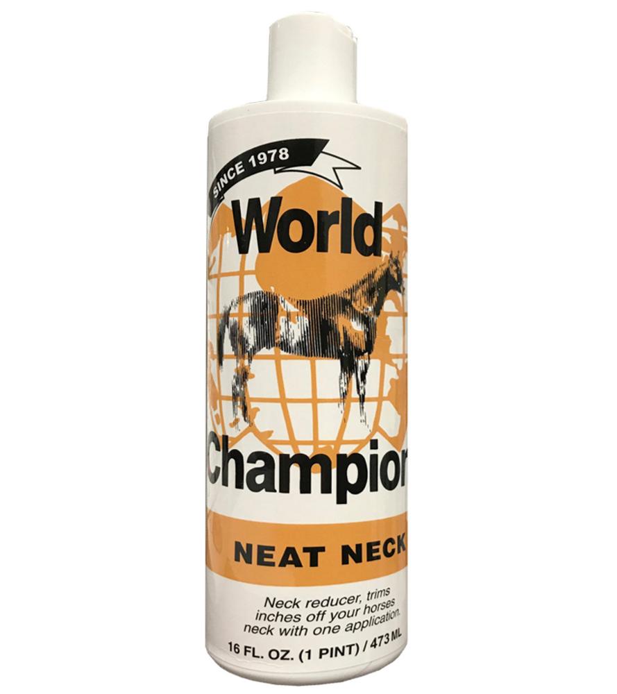 World Champion