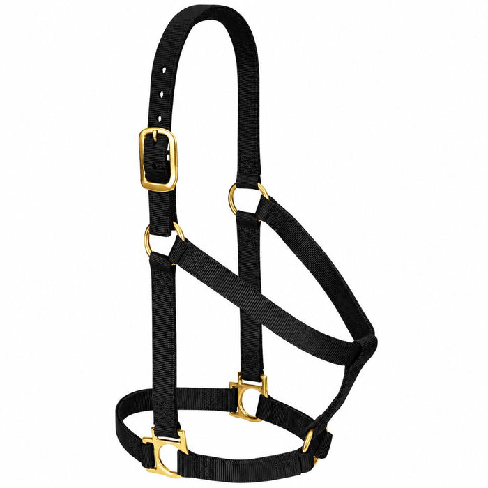 Small 2-Ply Halter