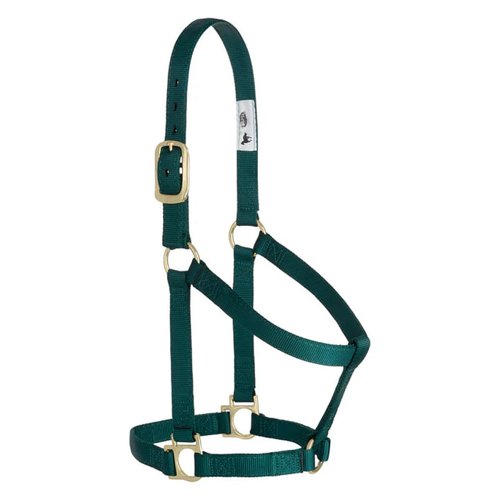 Medium 2-Ply Halter