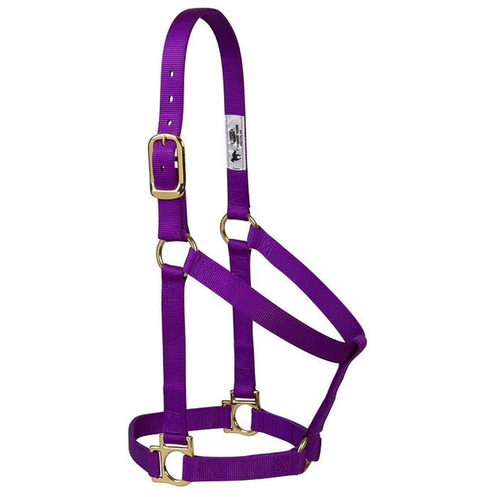 Medium 2-Ply Halter