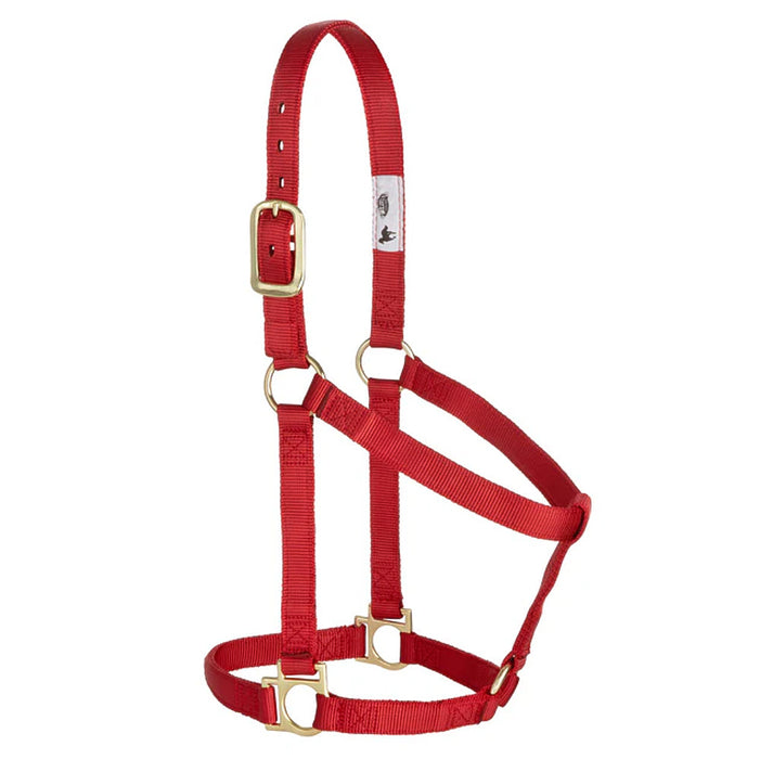 Medium 2-Ply Halter