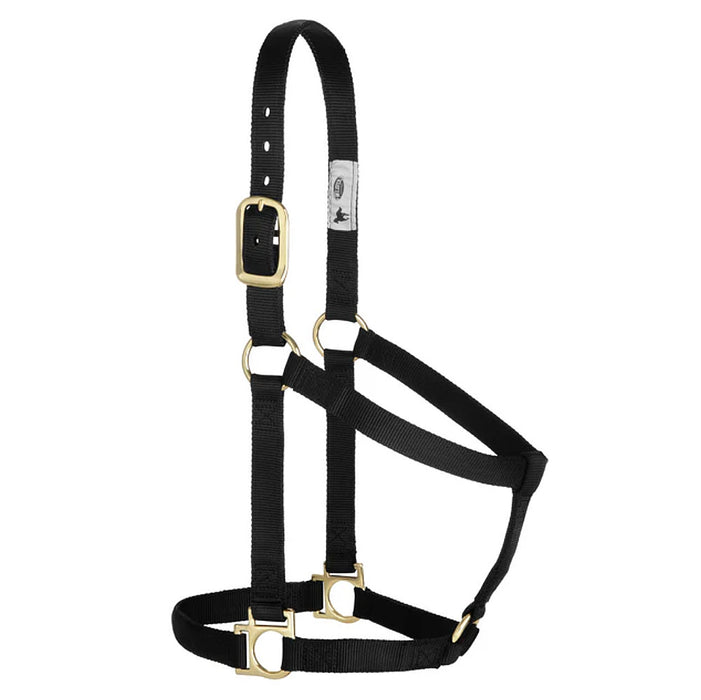 Medium 2-Ply Halter