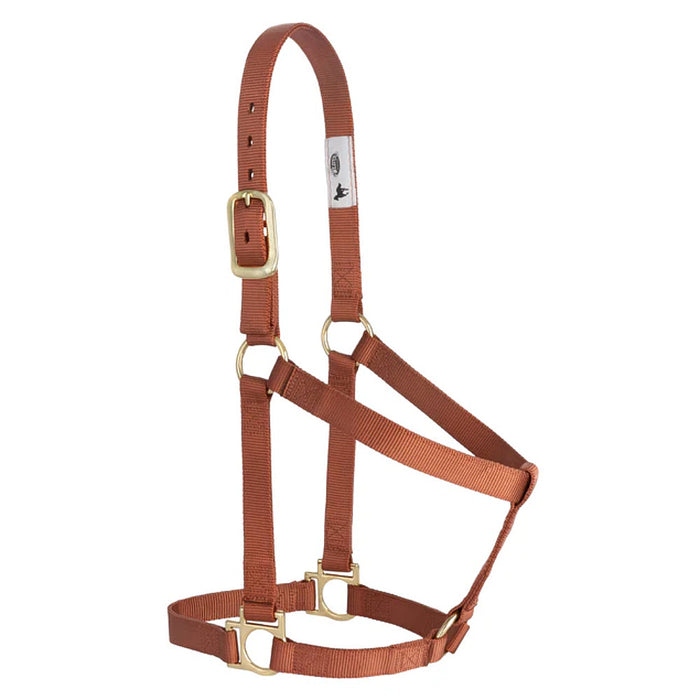 Medium 2-Ply Halter