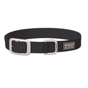 Terrain D.O.G. Nylon Buckle Collar 1in