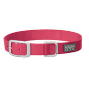Terrain D.O.G. Nylon Buckle Collar 1in