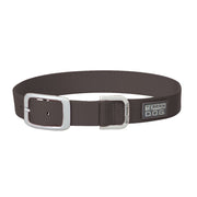 Terrain D.O.G. Nylon Buckle Collar 1in