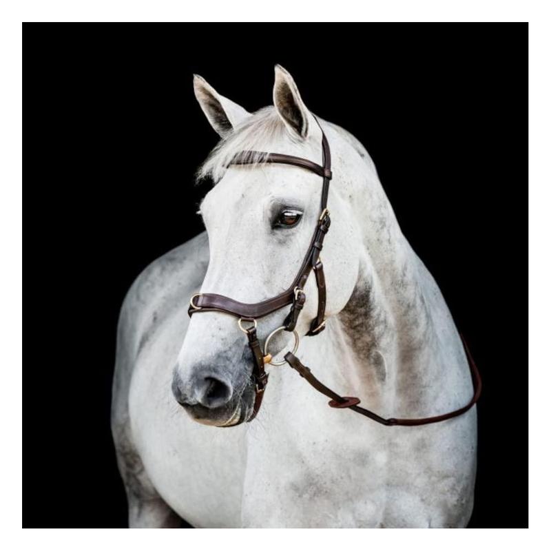 Micklem 2 Multi Bridle
