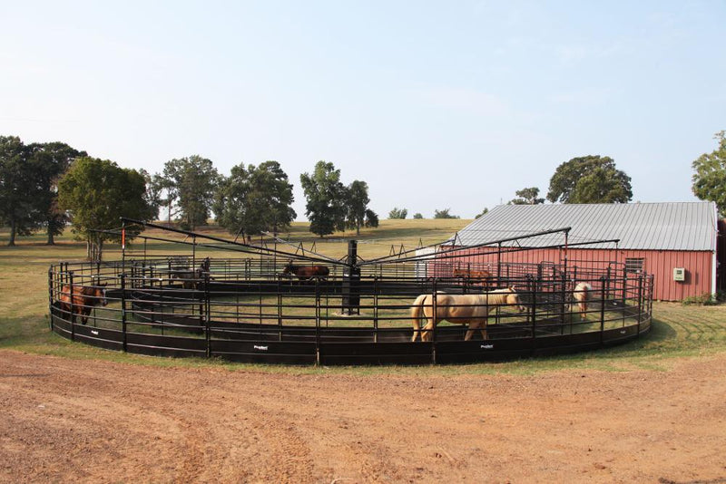 Panel Walker 50' 6 Horse Solid Bottom Touchscreen