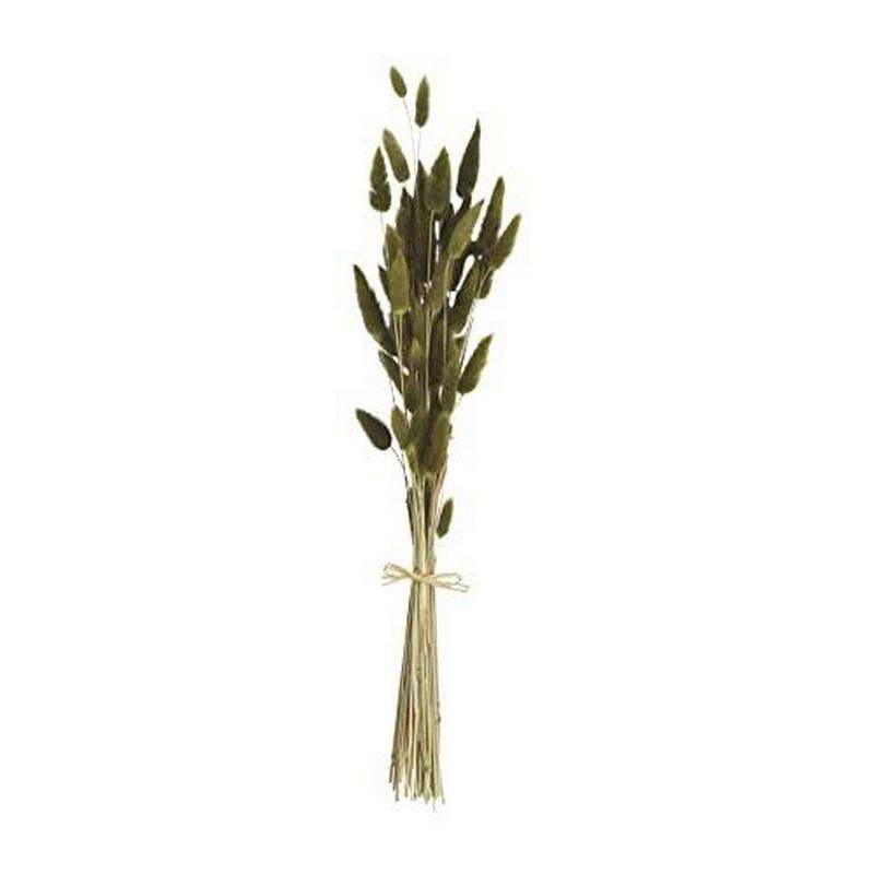 Mud Pie Green Preserved Bunny Tails