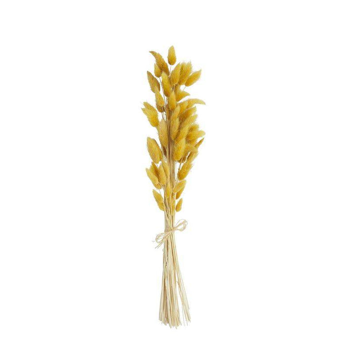Mud Pie Mustard Preserved Bunny Tails
