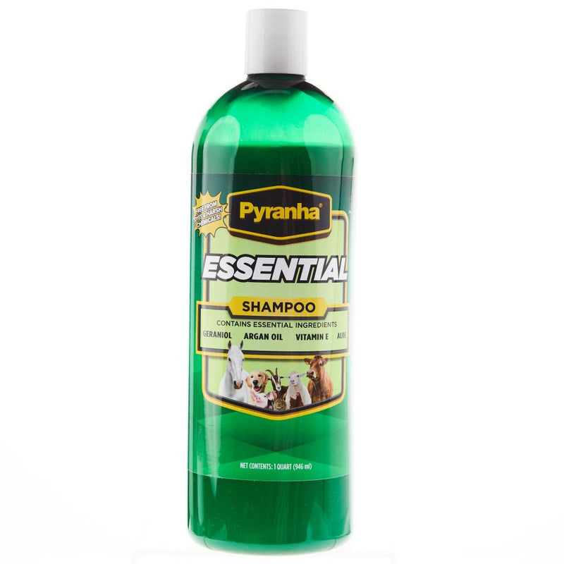 Essential Shampoo