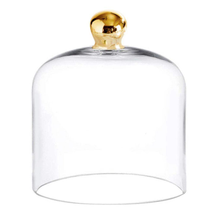 Creative Brands Medium Glass Cloche