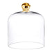 Creative Brands Medium Glass Cloche