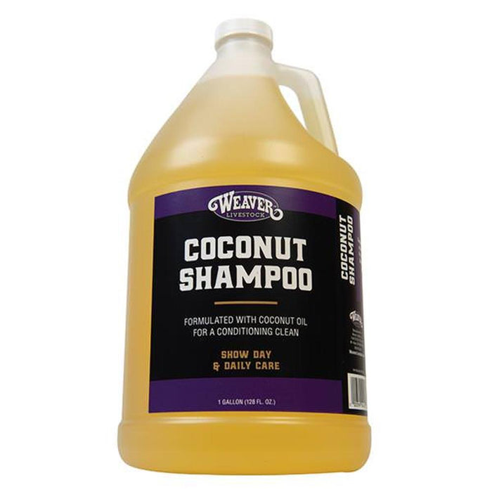 Coconut Shampoo Gallon