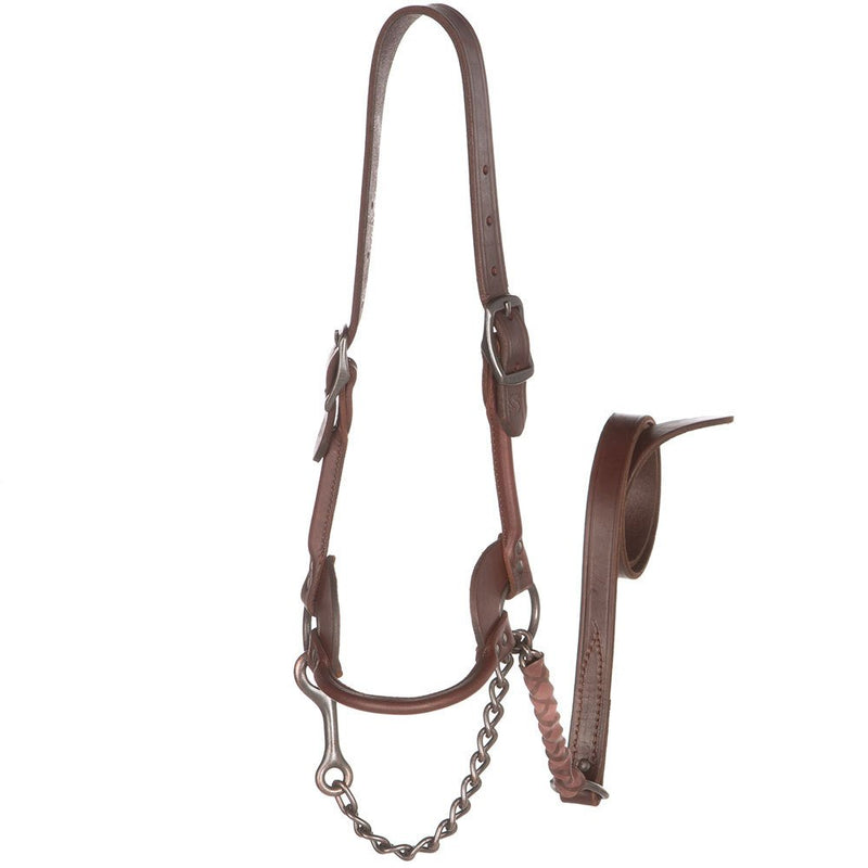1st Class Show Halter