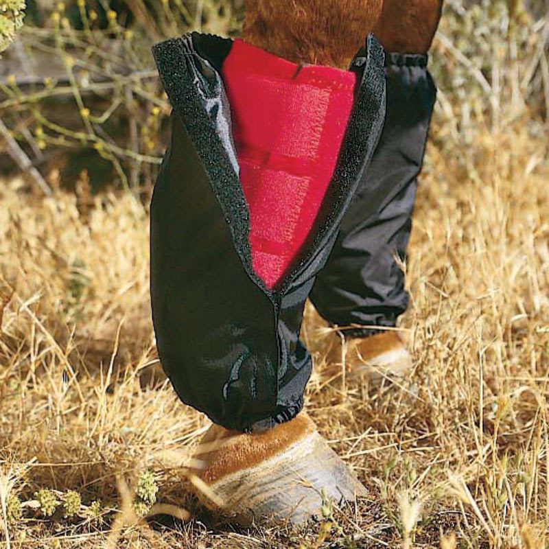 Horse Boot Covers