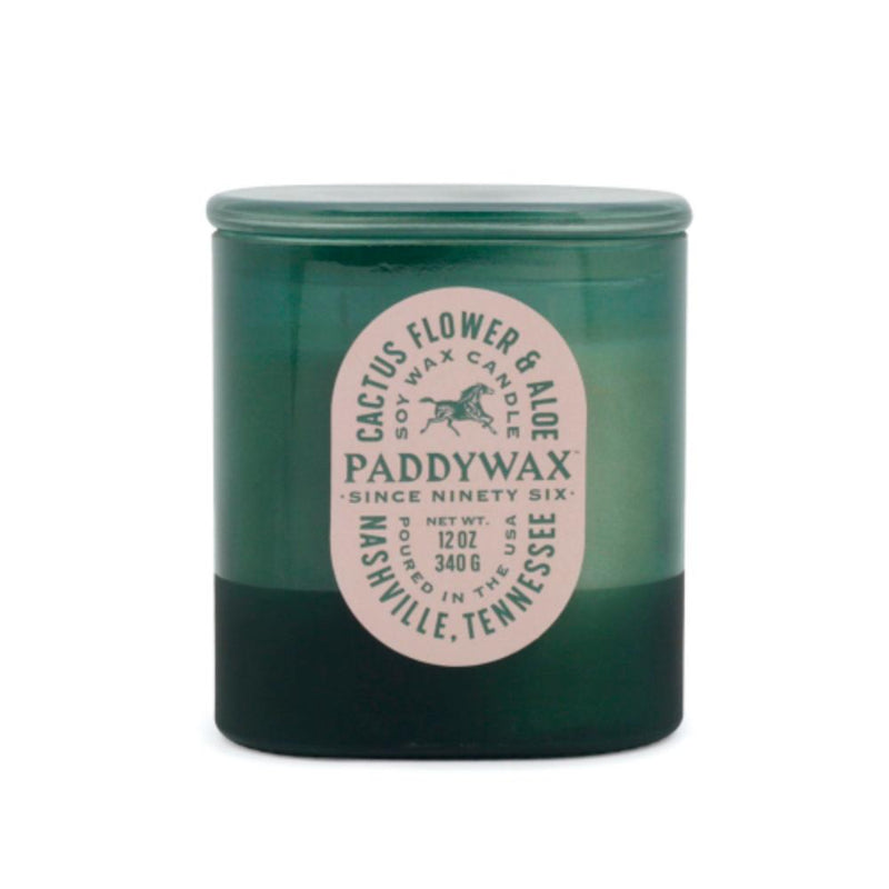 Vista Amber Cactus Flower and Aloe Candle