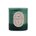 Vista Amber Cactus Flower and Aloe Candle