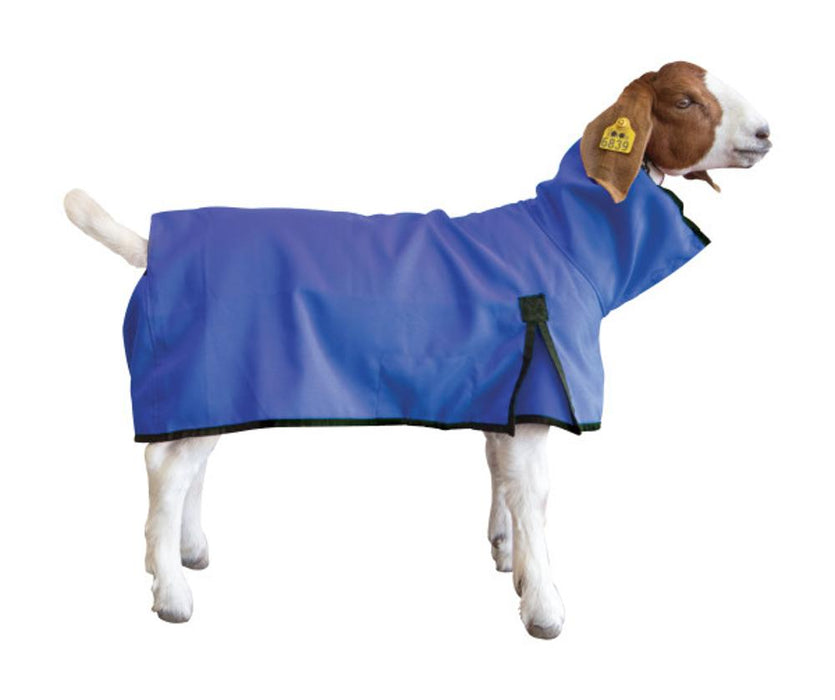 Goat Blanket Blue Medium