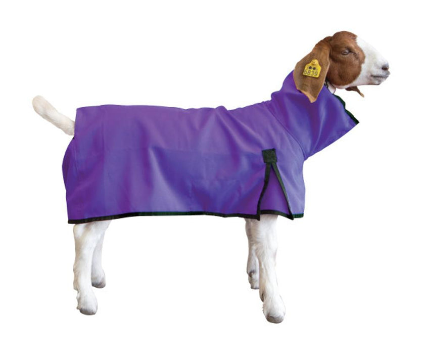 Goat Blanket Purple Medium
