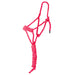 Hot Pink Halter with 8ft Attached Lead