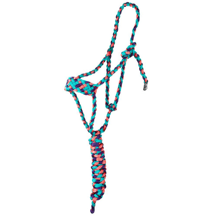 Tri Color Halter with 8ft Attached Lead