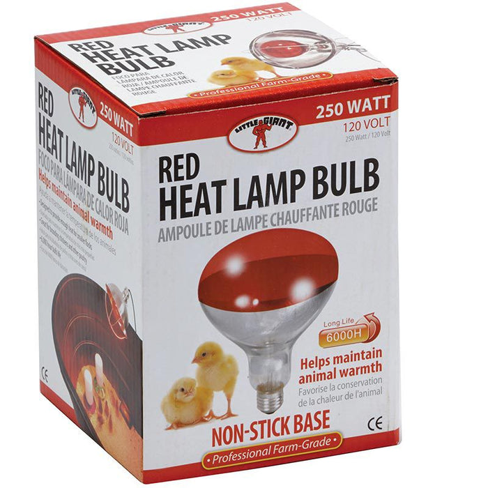 Little Giant Heat Lamp Bulb Red Bulbs 250 Watt