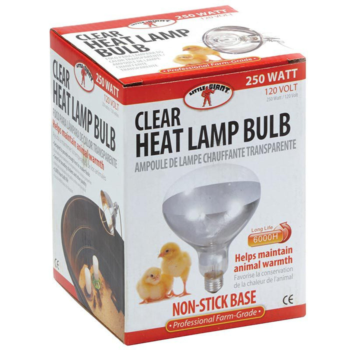 Little Giant Heat Lamp Bulb Clear Bulbs 250 Watt