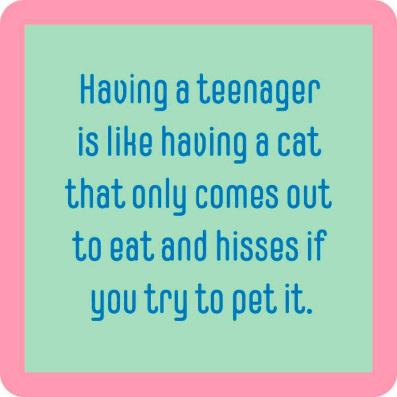 Teenager Cat Coaster