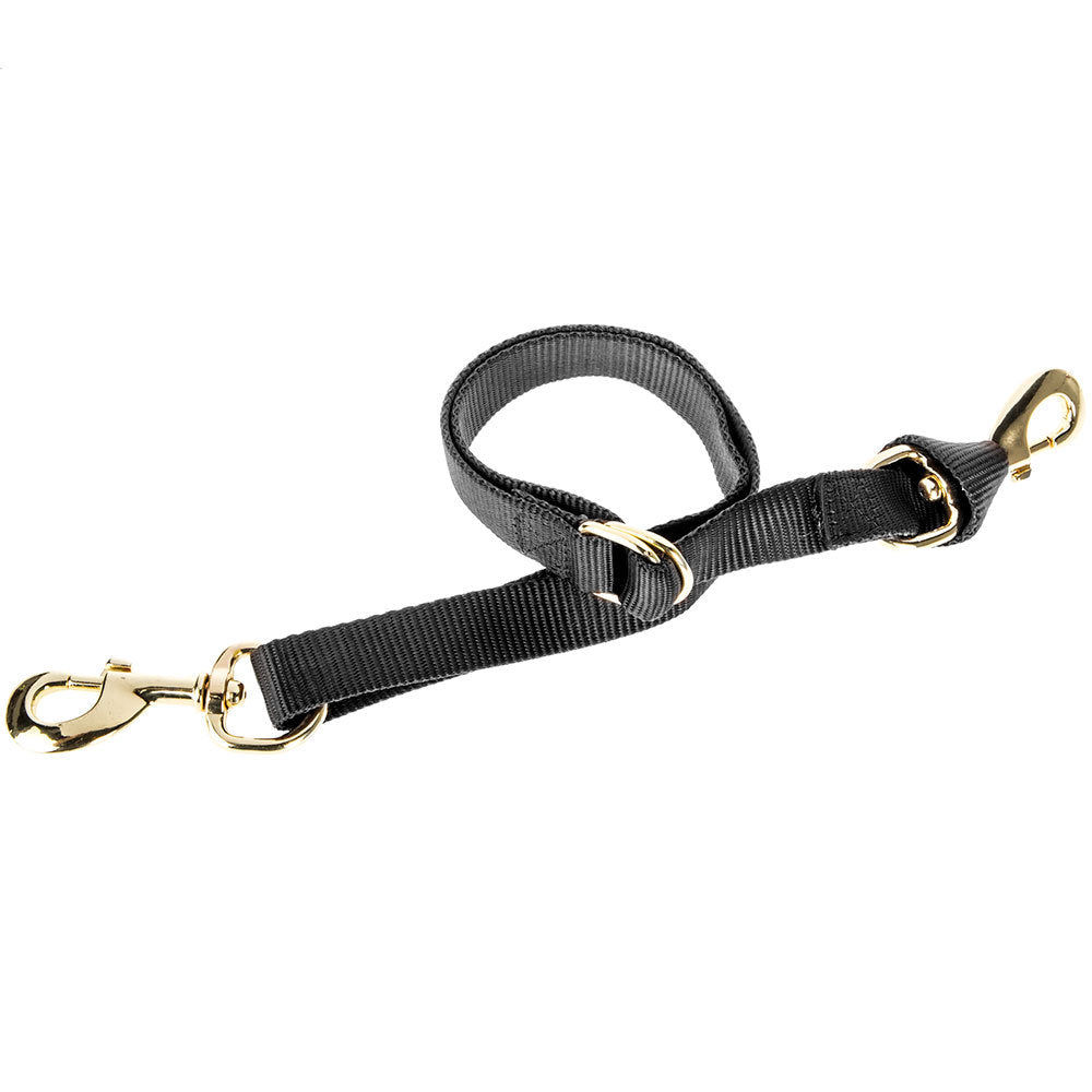 Harness Leather Tie Down Strap 5/8 inch wide with Brass Hardware