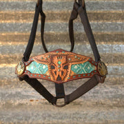 Kk Leathers Turquoise Aztec Desert Dweller Bronc Noseband Nylon Horse Halter