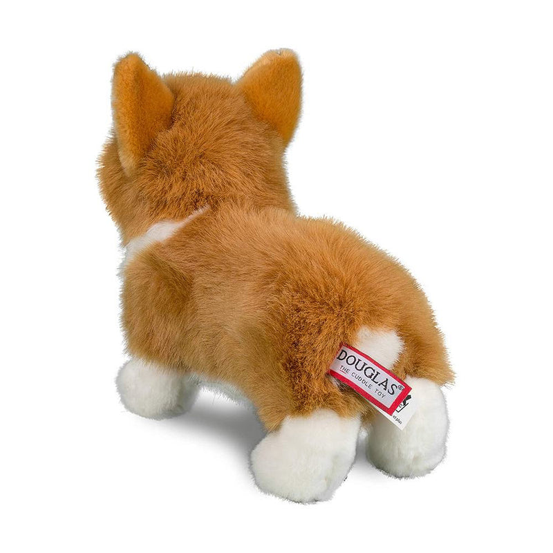 Douglas Louie Corgi
