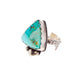 Horse Money Turquoise Kingman Turquoise Adjustable Ring