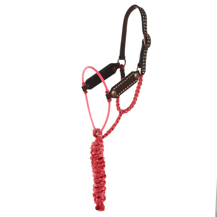 Shotgun Rope Nose Pink Halter with 8ft attached lead