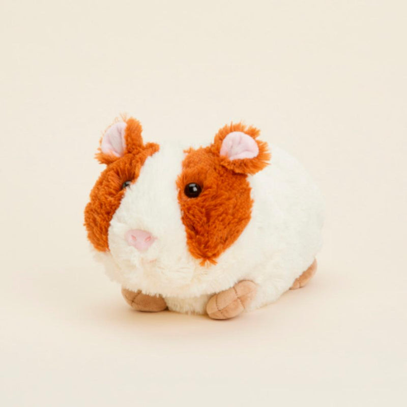 Guinea Pig