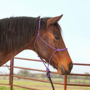 Premium Halter and 9ft Premium Lead Rope