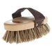 Thoroughbred #92 Natural Brush