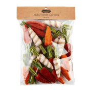 Mud Pie Mini Carrot Set