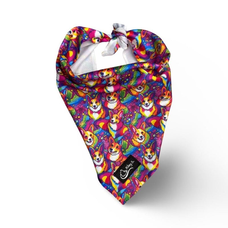 Riley S. Crazy Corgi Bandana