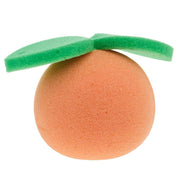Mud Pie Orange Sponge
