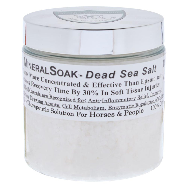 Dead Sea Salt Mineral Soak 24oz