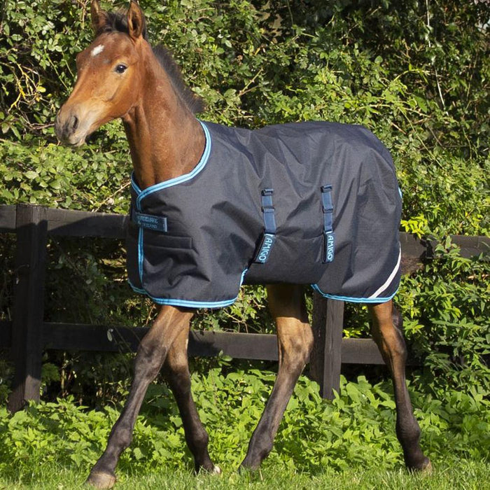 Amigo Ripstop 200g Foal Turnout Winter Blanket